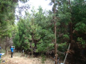 高土山開成の杜 高土山開成の杜
