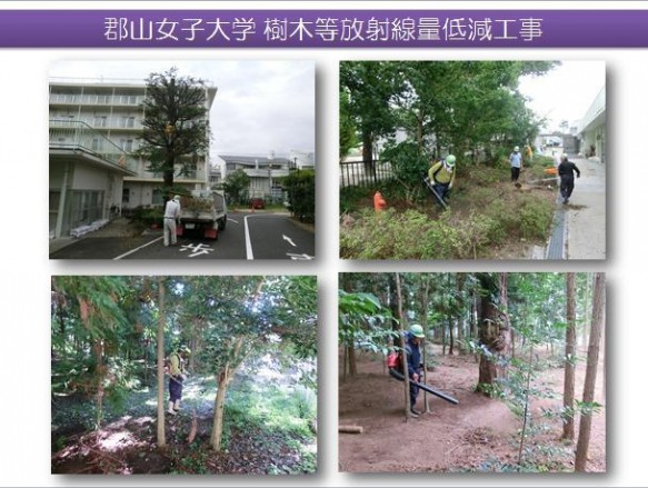 樹木除染作業報告写真(1) 樹木除染作業報告写真(1)