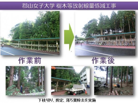 樹木除染作業報告写真(2) 樹木除染作業報告写真(2)