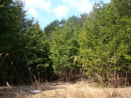 鞍手山開成の杜 鞍手山開成の杜