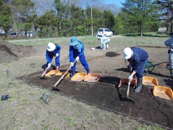 女子大生発掘中 女子大生発掘中