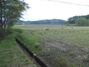 DSCN4029 (3)