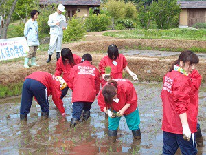 そして田んぼの真ん中ですれ違って、まだ向こうまで植えて行きます。