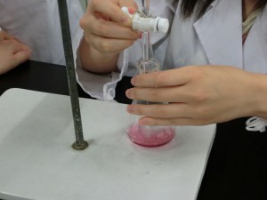 「ろ液」を専用の実験器具ビュレットに注いで、ここから測定試薬をいれた三角フラスコに、試薬の色が消失するまで滴下しました。 「ろ液」を入れすぎないように、一滴、一滴、慎重に確認しながら滴下します。