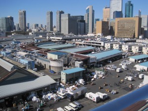 築地市場　　 広大な広さとその活気に驚きました。