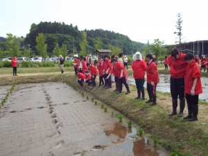 一列になって、さぁ!田んぼに入ります!
