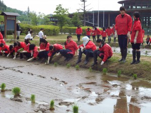 そろりそろりと、こわごわ田んぼに下りました。。