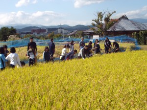 一列に並んで、始めます！　こちらは”天のつぶ”