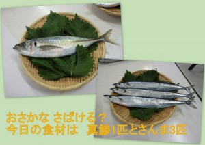 本日の食材 真鯵　１匹、　さんま　３匹 大きくて立派なおさかな、です！